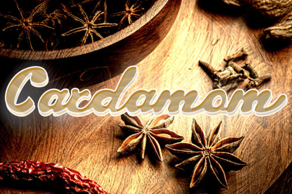 Cardamom Font: Elegant Script for Web Design
