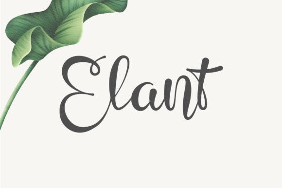 Elant: A Script Font for Impactful Campaigns